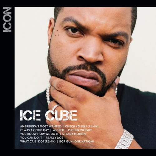 ICE CUBE - ICONICE CUBE ICON.jpg